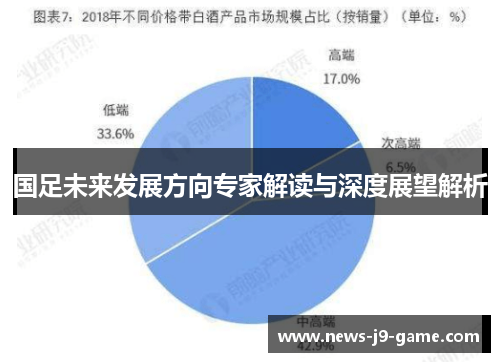 国足未来发展方向专家解读与深度展望解析 国足未来发展方向专家解读与深度展望解析