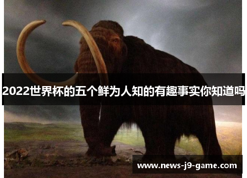 2022世界杯的五个鲜为人知的有趣事实你知道吗 2022世界杯的五个鲜为人知的有趣事实你知道吗