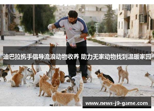 迪巴拉携手倡导流浪动物收养 助力无家动物找到温暖家园 迪巴拉携手倡导流浪动物收养 助力无家动物找到温暖家园